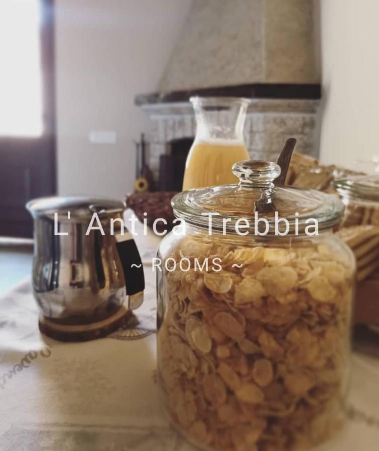 L' Antica Trebbia - Séjour à la ferme Caltanissetta